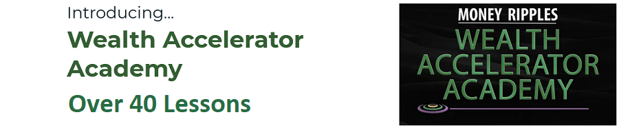 6 Best Wealth Accelerator Academy